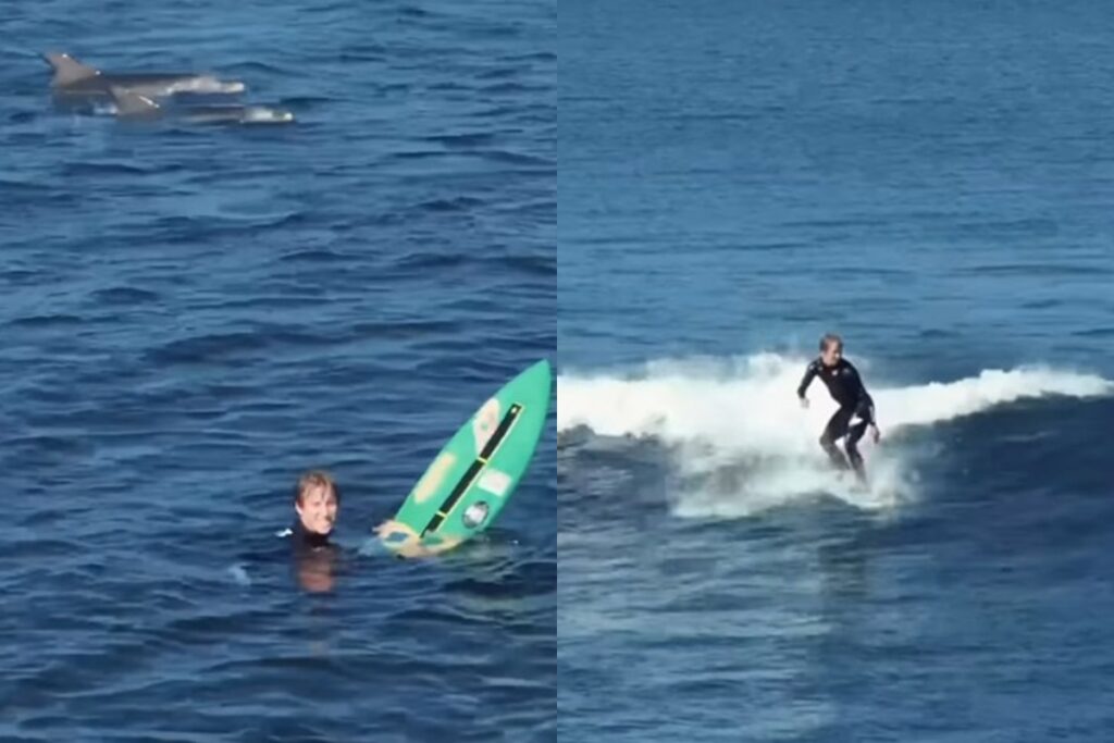 brasileiro-pentacampeao-de-skimboard,-lucas-fink-surfa-com-golfinhos.-veja-video