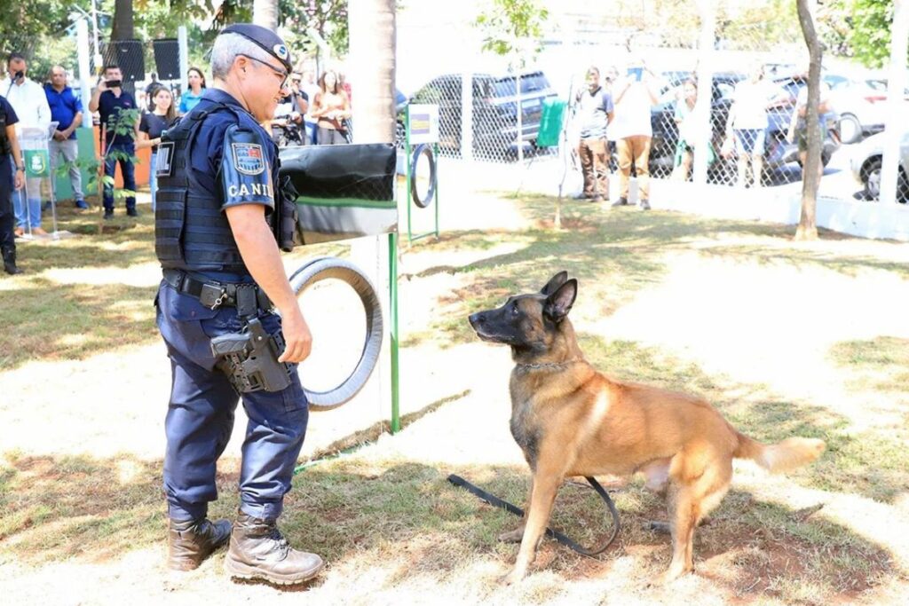 cao-orelha-ganha-homenagem-e-vira-nome-de-parque-no-interior-de-sp
