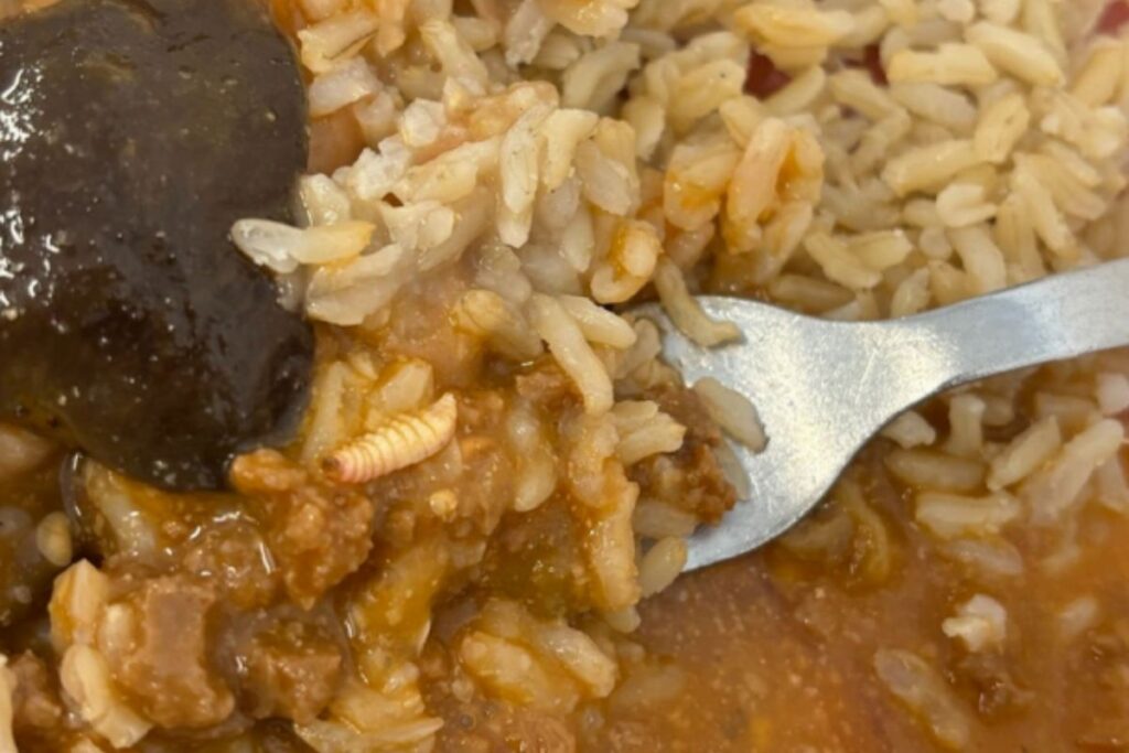 alunos-denunciam-larva-na-comida-e-desabastecimento-em-bandejao-da-usp.-video