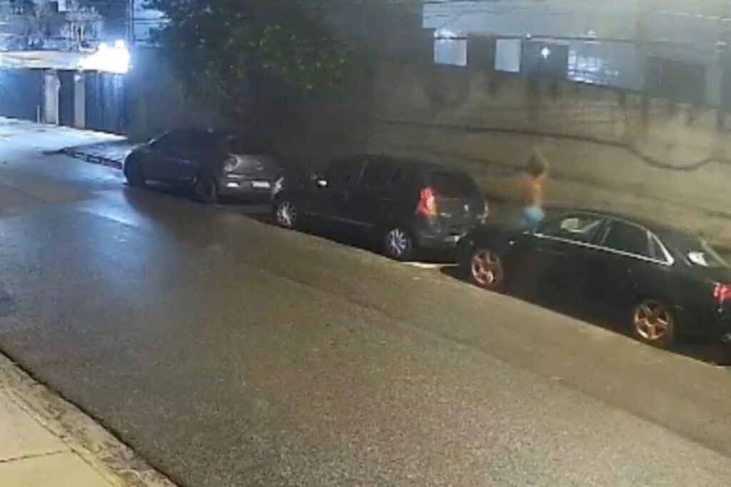 capivara-e-morta-a-pauladas-por-homem-na-zona-sul-do-recife