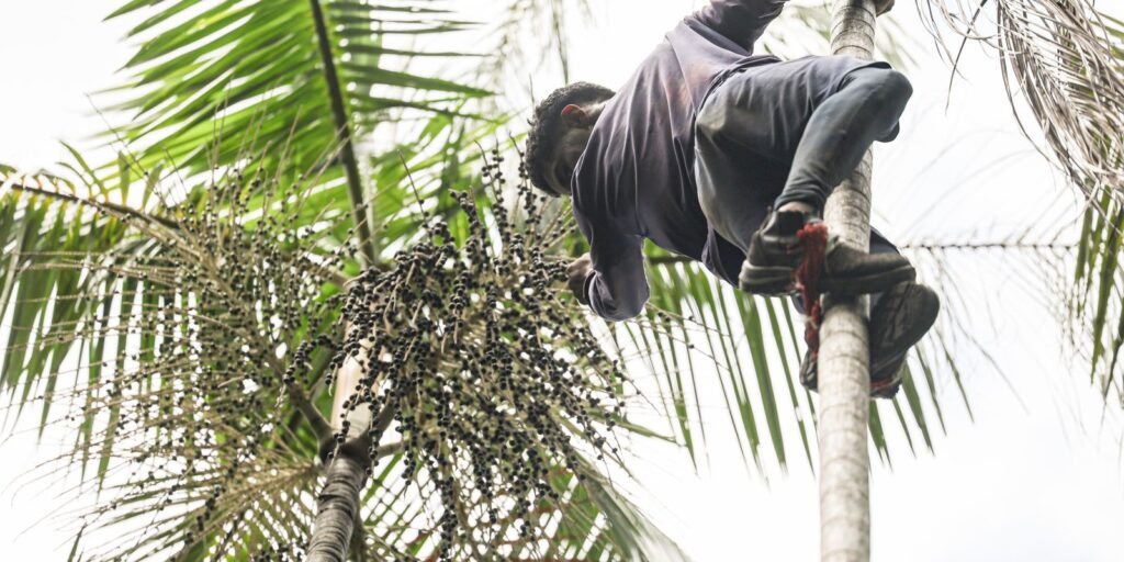 governo-investe-r$-132-milhoes-em-regularizacao-fundiaria-na-amazonia