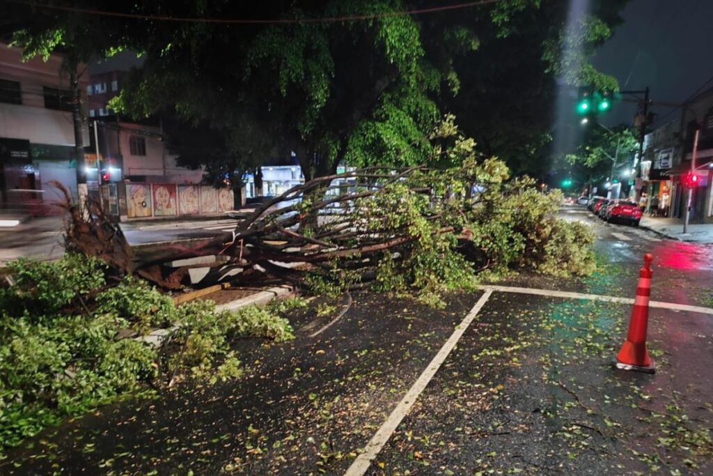 aneel-vota-nesta-terca-processo-que-pode-cassar-contrato-da-enel-em-sp