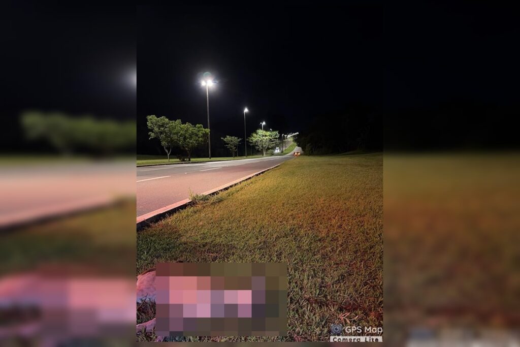 onca-parda-flagrada-por-motorista-no-lago-norte-morre-atropelada-na-l4.-veja-video