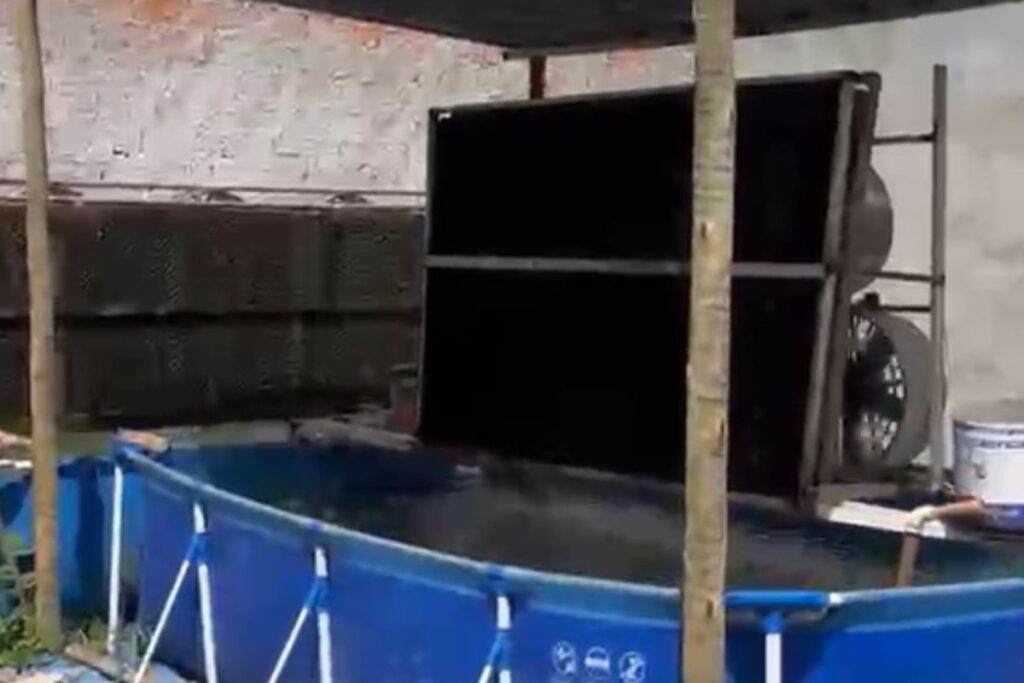 mineradora-de-criptomoeda-furta-r$-720-mil-em-energia-e-e-alvo-da-pcdf