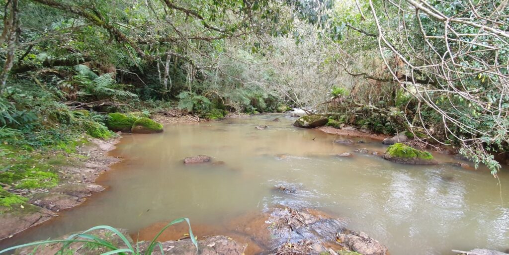 minas-gerais-cria-2-reservas-ambientais-no-cerrado-e-na-mata-atlantica