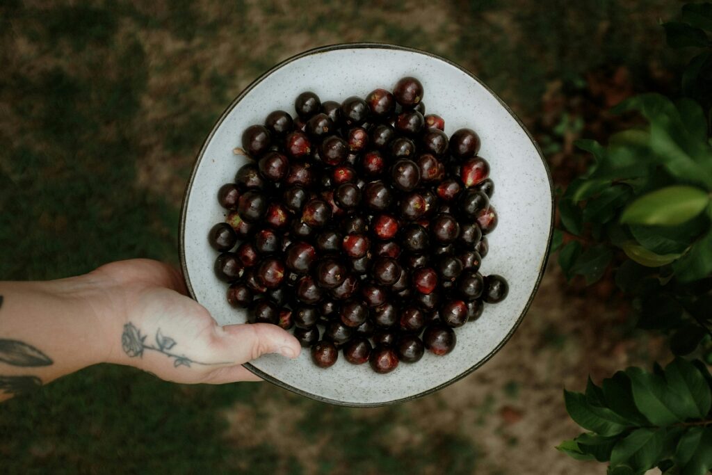 fruta-se-destaca-pela-acao-antioxidante-e-beneficia-a-saude-vascular