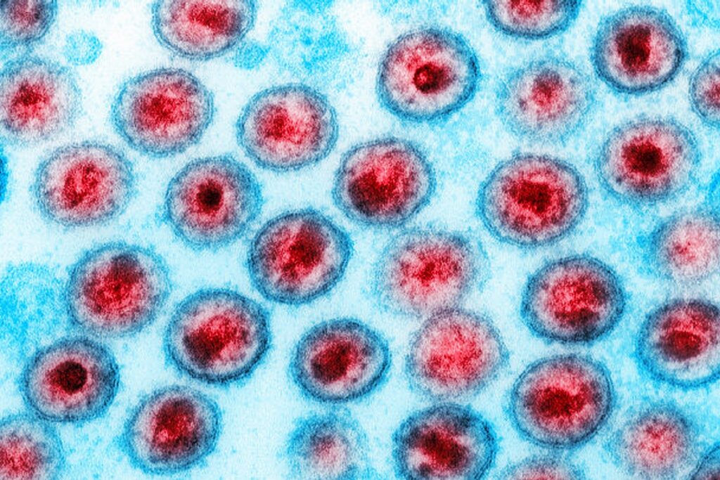 estudo-testa-oferta-de-prep-em-comunidades-para-prevenir-hiv