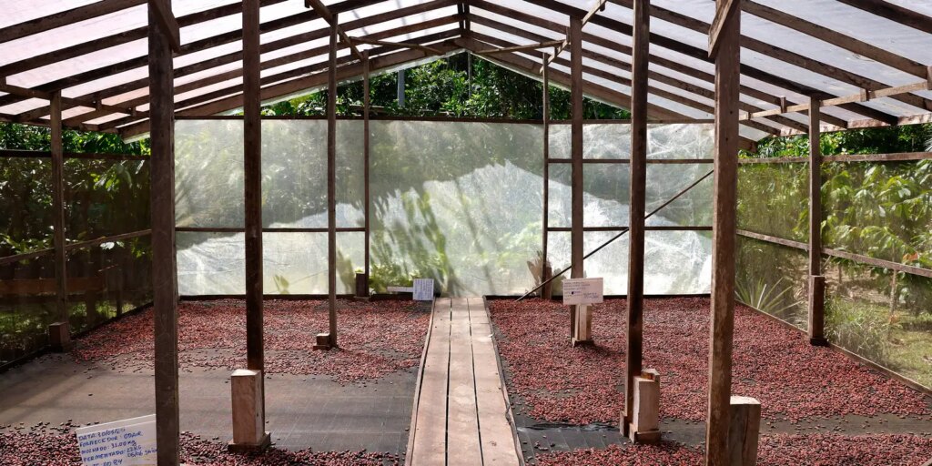 Edital seleciona projetos de inovação no Amazonas, Pará e Rondônia edital-seleciona-projetos-de-inovacao-no-amazonas,-para-e-rondonia