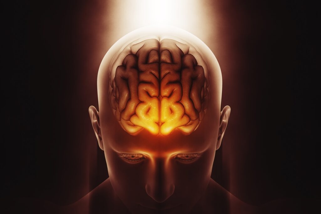 com-quantos-anos-o-cerebro-realmente-amadurece?-neurologista-explica