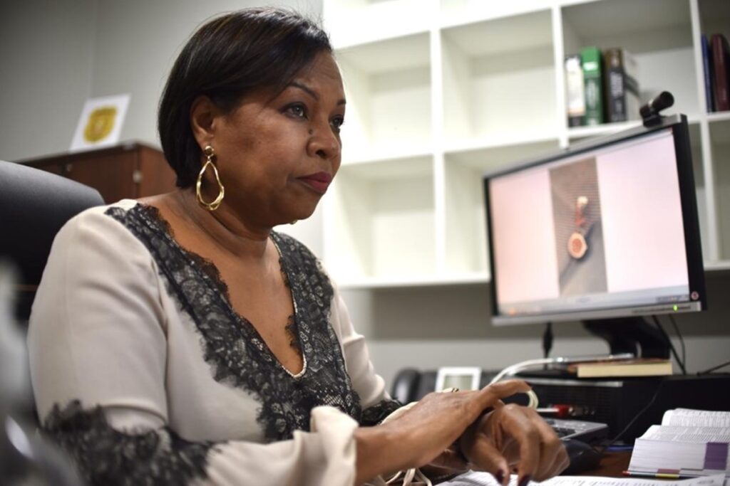 deputada-quer-barrar-agressores-de-mulheres-no-servico-publico-do-df