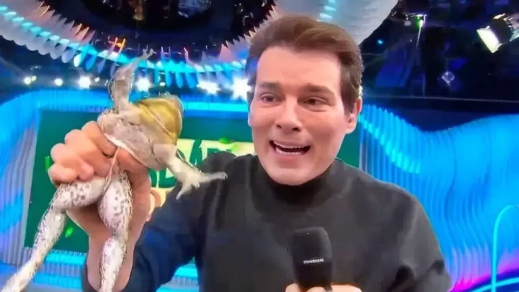 sbt-pode-pagar-multa-astronomica-apos-acusacao-de-maus-tratos-a-ra