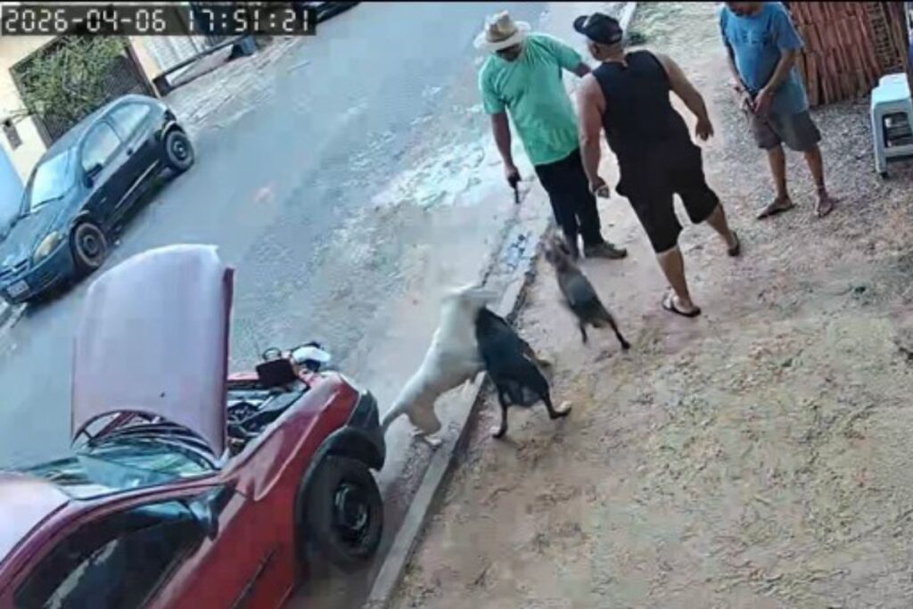 vereador-atira-contra-caes-durante-discussao-com-moradores-em-itu.-video