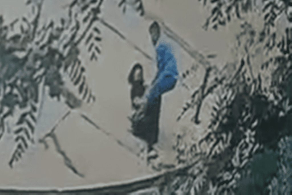 cameras-flagram-momento-em-que-homem-agride-e-atropela-mulher-no-df.-veja-video