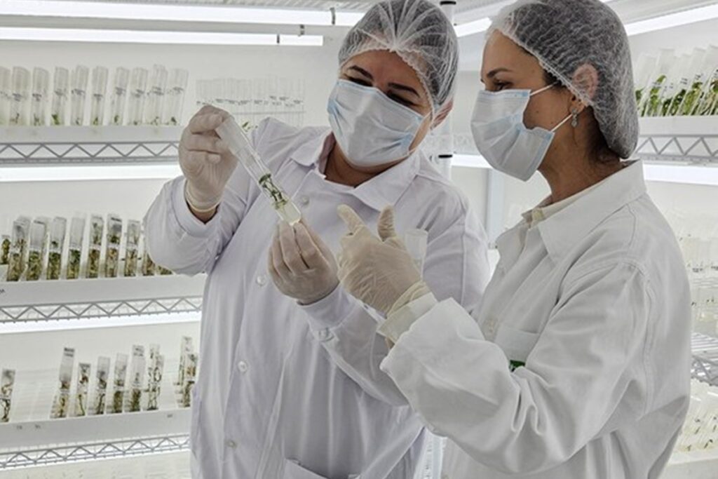 brasil-integra-programa-artemis,-que-deu-volta-na-lua;-entenda