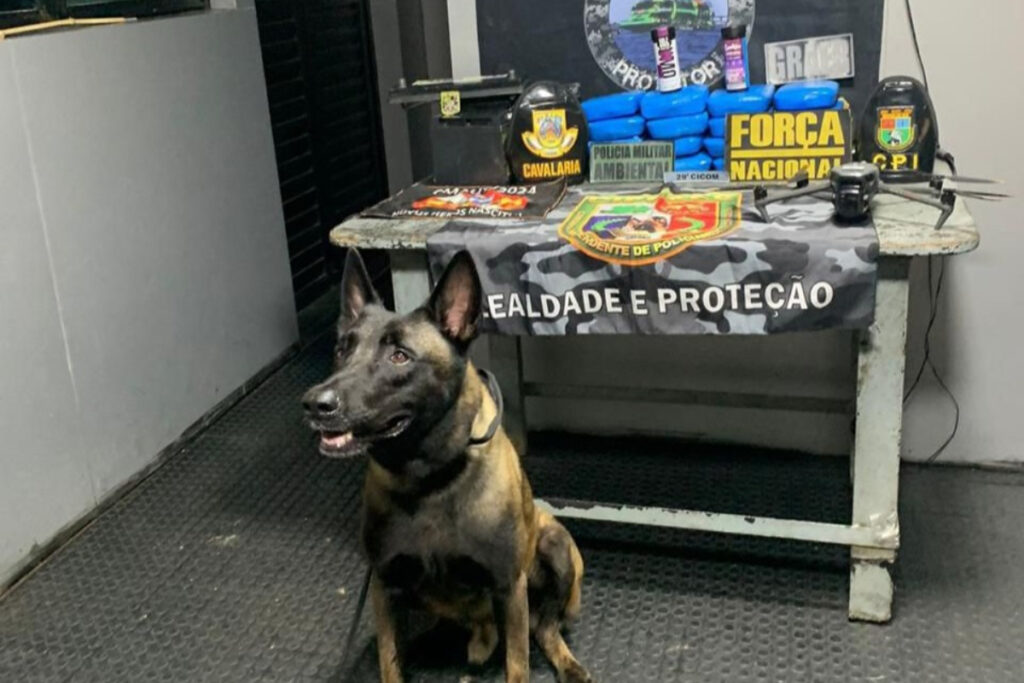 am:-cao-farejador-sheriff-encontra-cocaina-dentro-de-esteira-e-bateria