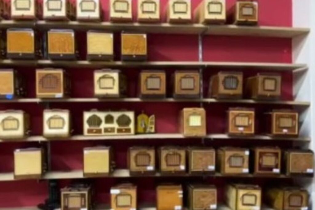 operacao-contra-rinha-de-animais-tem-49-presos-e-300-aves-resgatadas