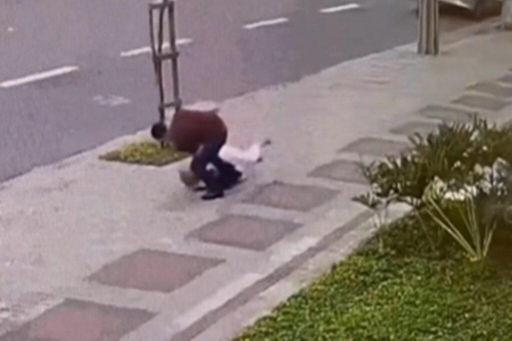 idosa-e-agredida-e-derrubada-por-adolescente-durante-assalto-em-bh.-veja-video