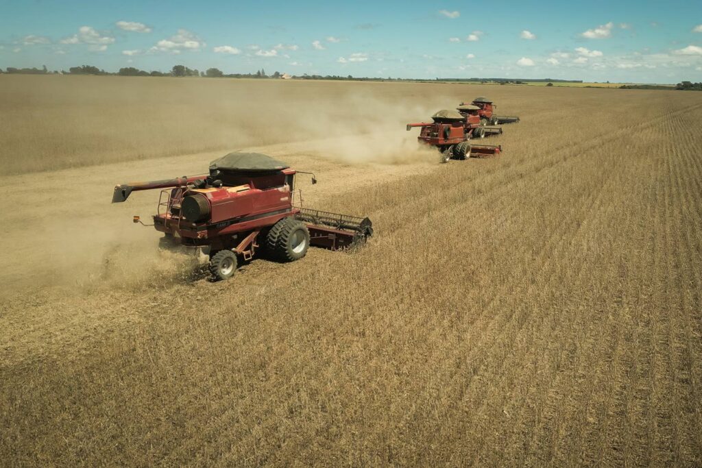 recorde:-ibge-eleva-previsao-de-safra-para-348,4-milhoes-de-toneladas