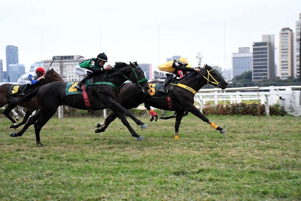 justica-de-sp-rejeita-pedido-de-recuperacao-judicial-do-jockey-club