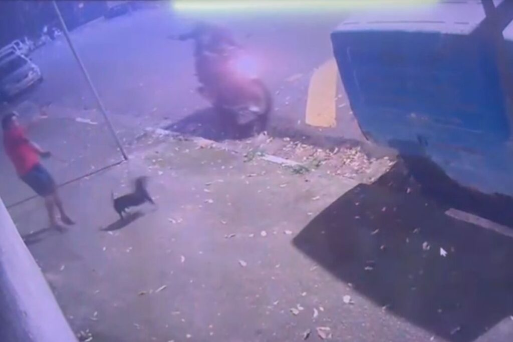 rota-mata-suspeito-que-atirou-em-pm-de-folga-durante-passeio