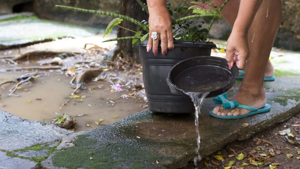 minas-gerais-registra-422-cidades-em-alerta-para-o-aedes-aegypti