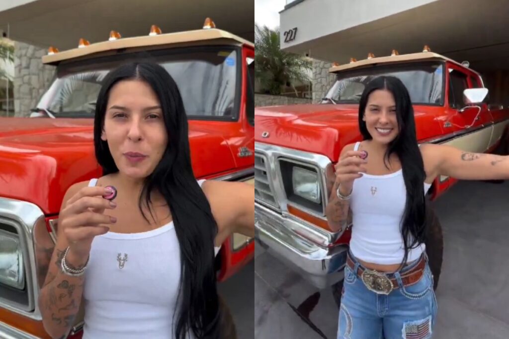 o-que-e-um-carro-“placa-preta”,-como-o-de-ana-castela?