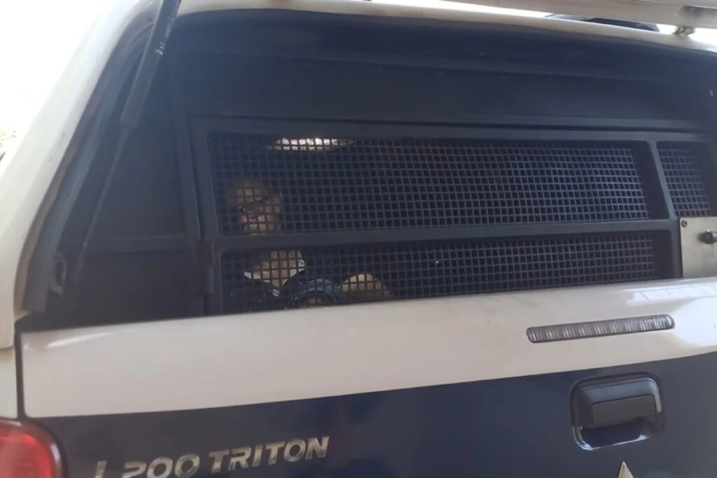 ms:-homem-e-preso-por-mostrar-penis-para-mulheres-em-via-publica