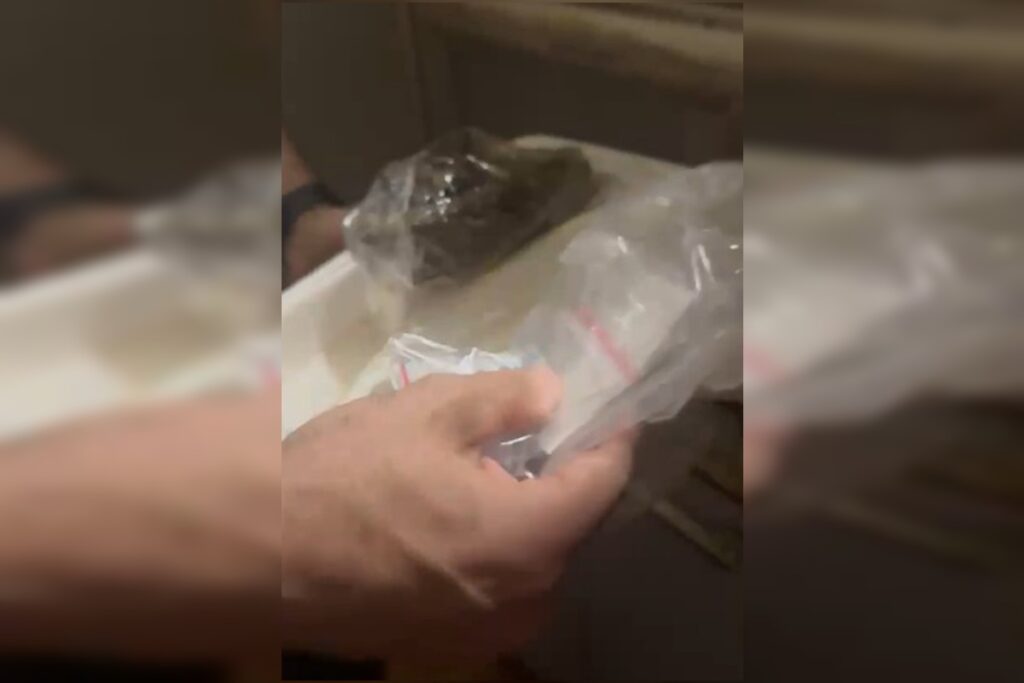 traficante-quebra-a-clavicula-ao-cair-do-telhado-para-fugir-da-policia.-veja-video