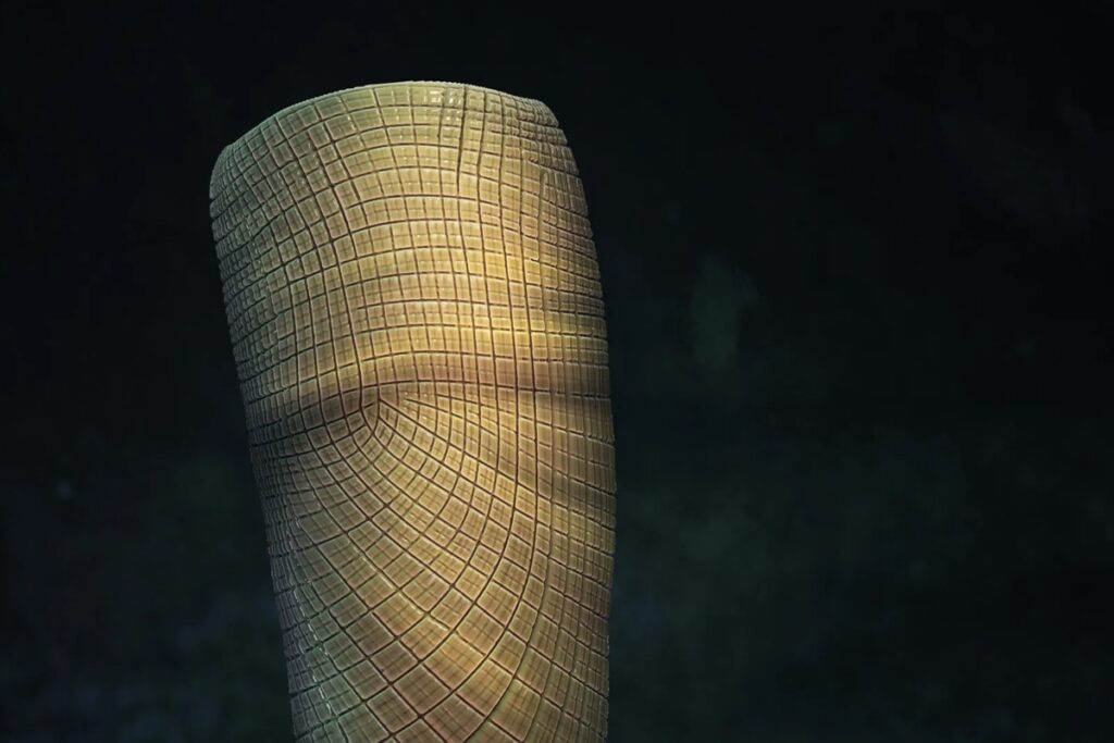 fossil-ajuda-a-desvendar-lacuna-na-historia-evolutiva-das-esponjas