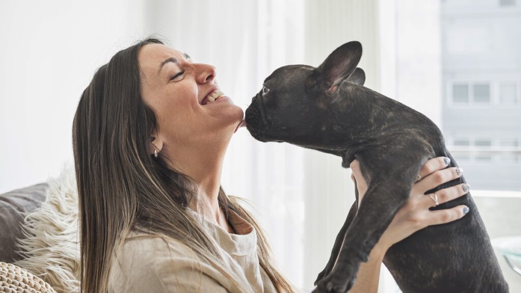 “lambeijos”:-entenda-os-riscos-escondidos-no-comportamento-dos-pets