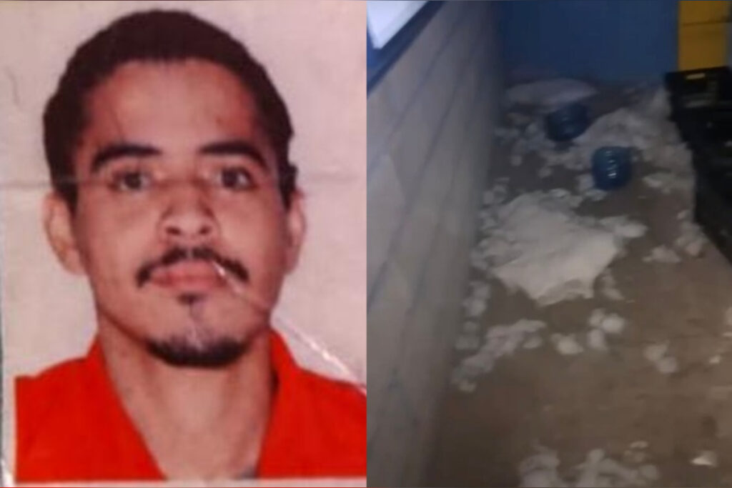 saiba-como-era-o-batalhao-fake-com-“recrutas”-e-“cemiterio-de-cachorro”.-veja-video