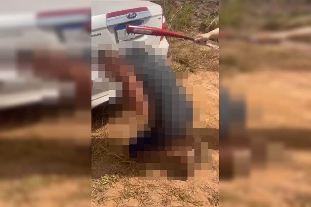 extorsao,-tortura-e-cassetete:-dupla-ligada-a-advogada-e-pm-e-presa.-veja-video