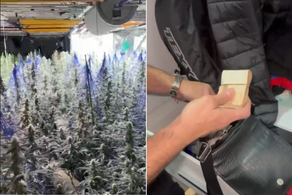 malas-de-cocaina-levam-pf-a-achar-quadrilha-internacional-de-trafico