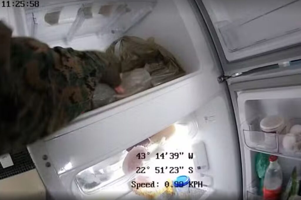 mp:-pms-invadem-casas,-abrem-geladeira-e-dormem-no-sofa-em-operacao