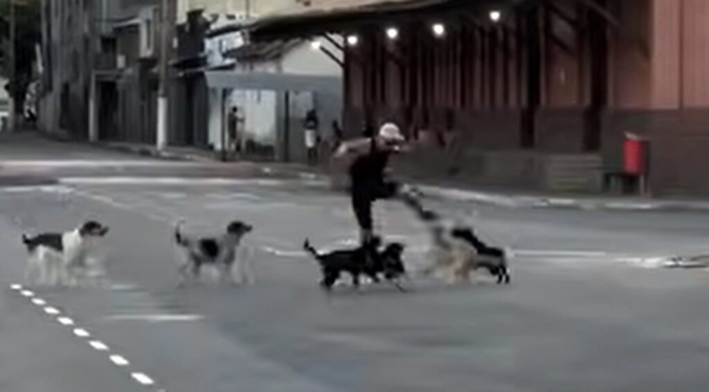 corredor-vive-perrengue-com-cachorros-de-rua-em-mg-e-acaba-mordido.-video