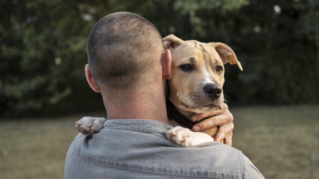 confira-6-sinais-de-que-o-pet-esta-sofrendo-com-a-ansiedade-do-tutor