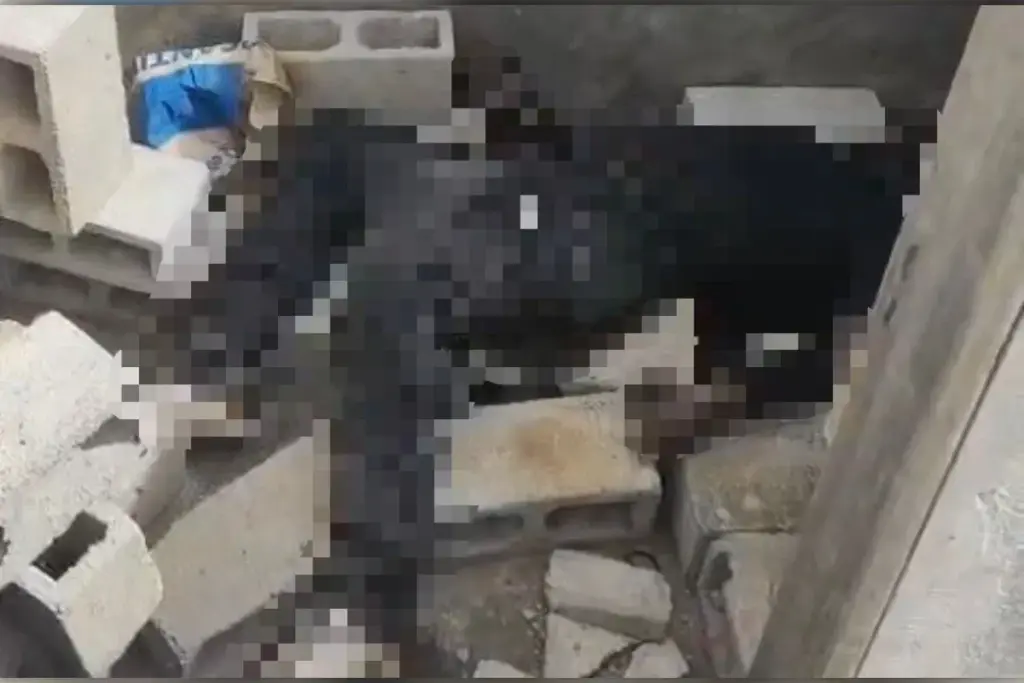 corpo-em-decomposicao-e-encontrado-por-moradores-em-obra-no-df