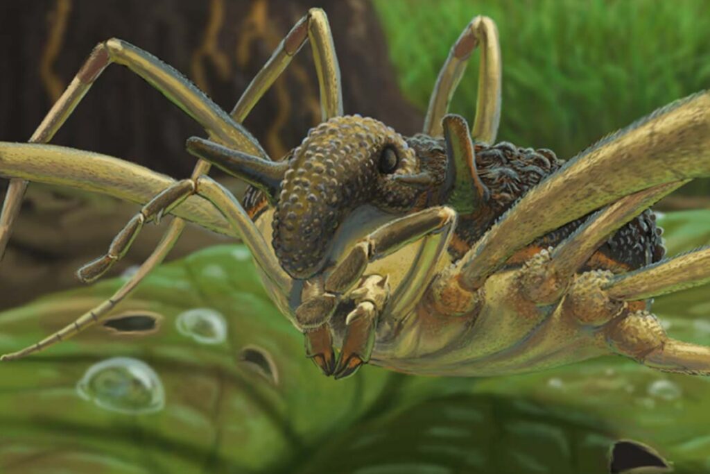 aracnideo-de-35-milhoes-de-anos-e-encontrado-preservado-em-ambar