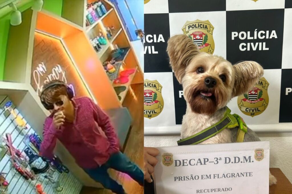 disfarcado-com-mascara,-homem-e-preso-por-tentar-furtar-cao-da-ex.-veja-video