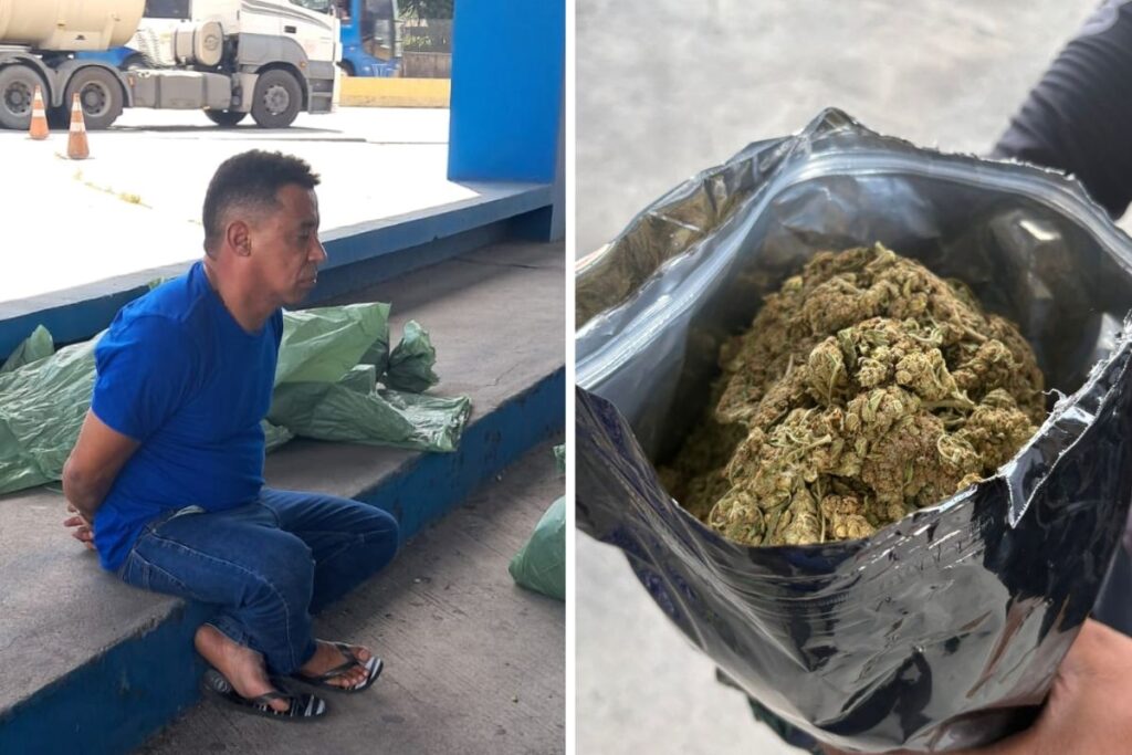 flagrado-com-maconha,-homem-provocou-agente:-“pelo-cheiro,-ja-sabe”