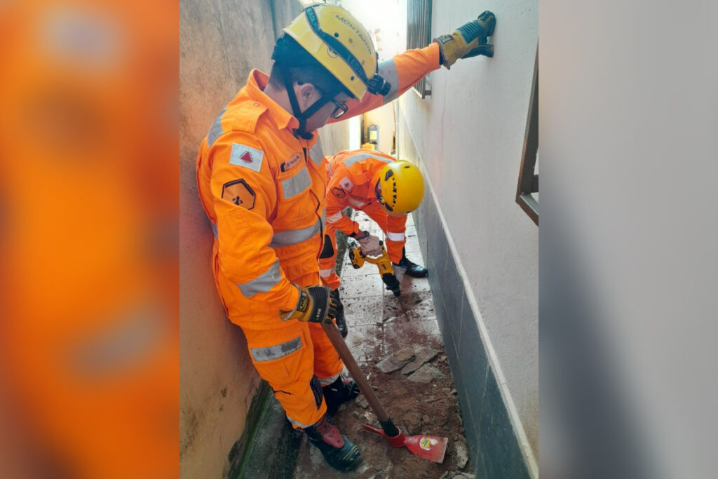 mg:-bombeiros-salvam-gato-que-e-apoio-emocional-de-pessoa-com-cancer