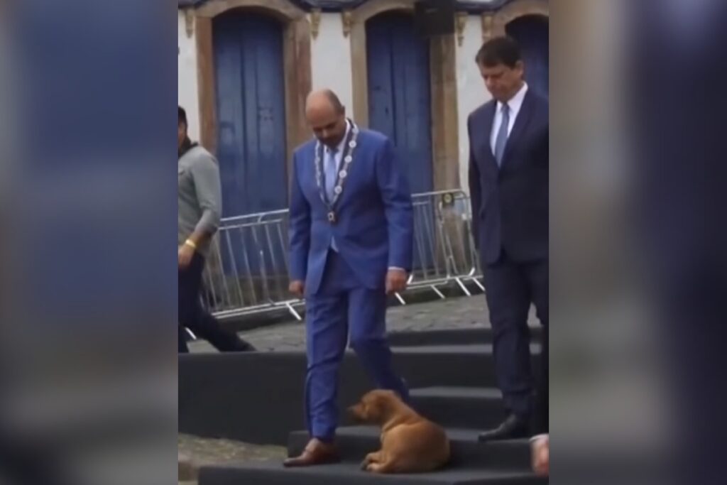 caramelo-vira-atracao-e-ganha-carinho-de-governadores-em-evento-em-mg.-veja-video