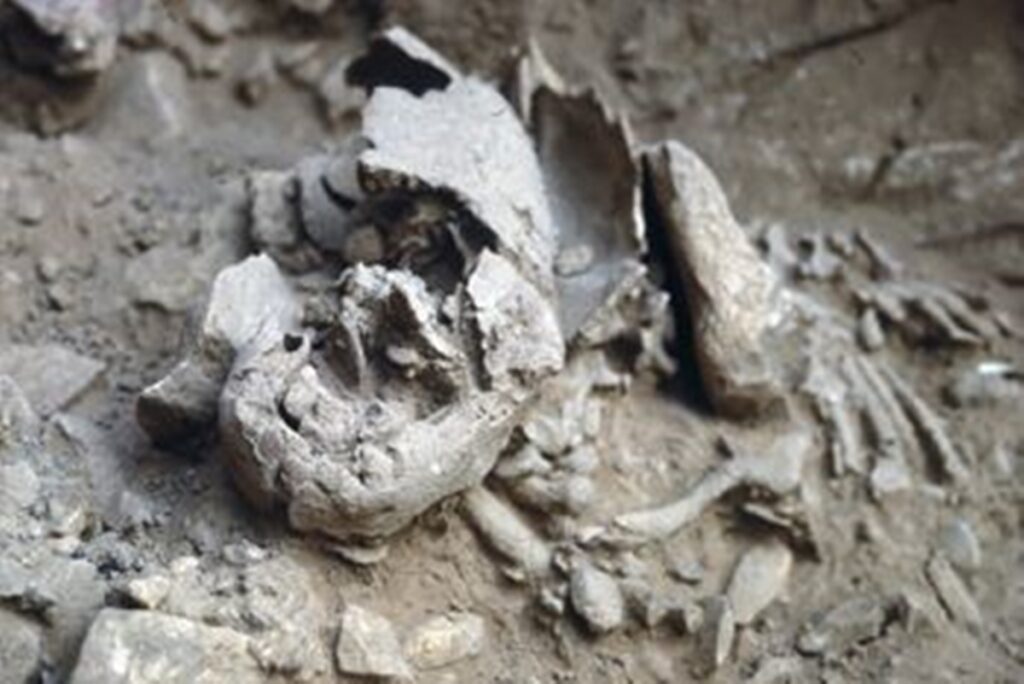 estudo-revela-que-bebes-neandertais-eram-maiores-e-mais-desenvolvidos