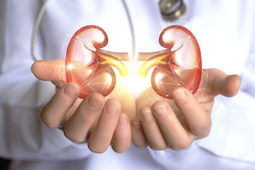 faz-muito-xixi?-nefrologista-aponta-4-possiveis-problemas-de-saude