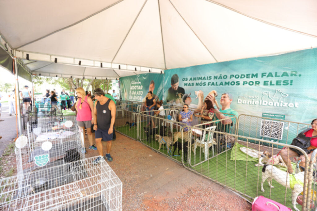 eixao-do-lazer-recebe-feira-de-adocao-de-animais-neste-domingo