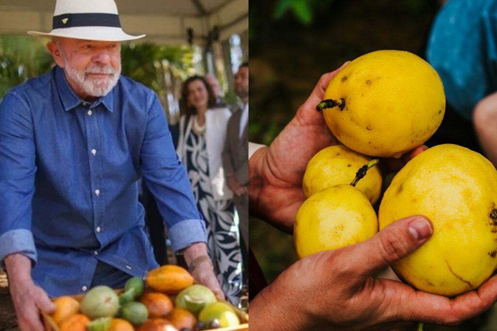 lula-cita-maracuja-e-jabuticaba-para-“acalmar”-trump;-veja-beneficios