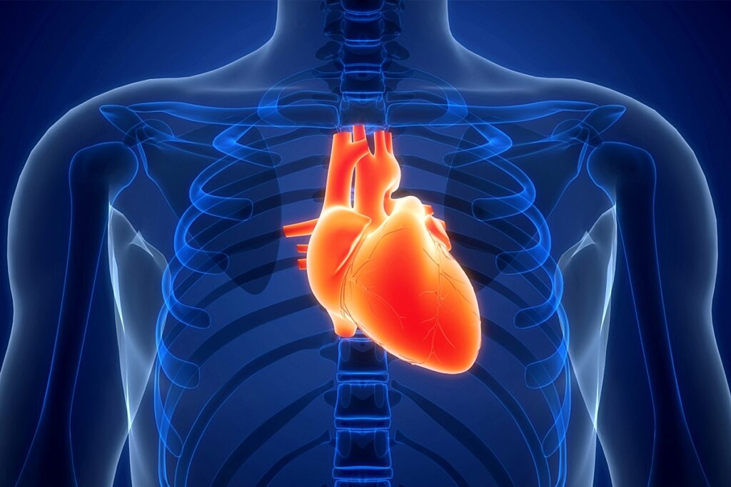 coracao-disparado:-medico-diferencia-ansiedade-de-arritmia-cardiaca