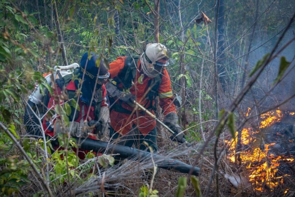 empresas-de-irmaos-sao-alvo-da-pcdf-por-fraude-em-certificados-de-brigadistas