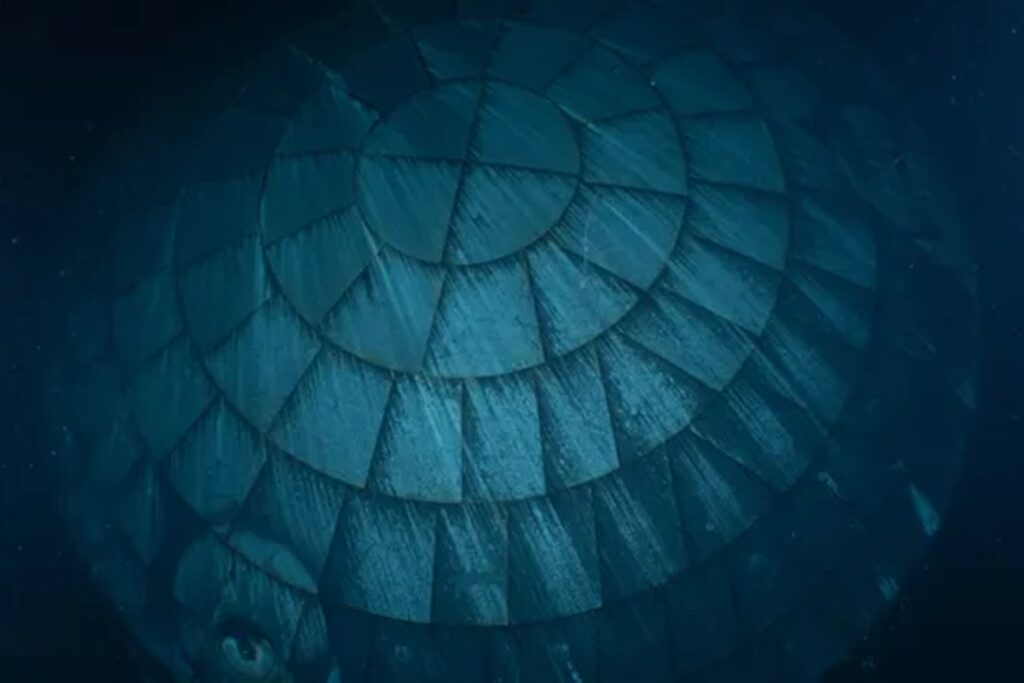 artemis-ii:-foto-revela-que-escudo-termico-funcionou-bem-na-reentrada