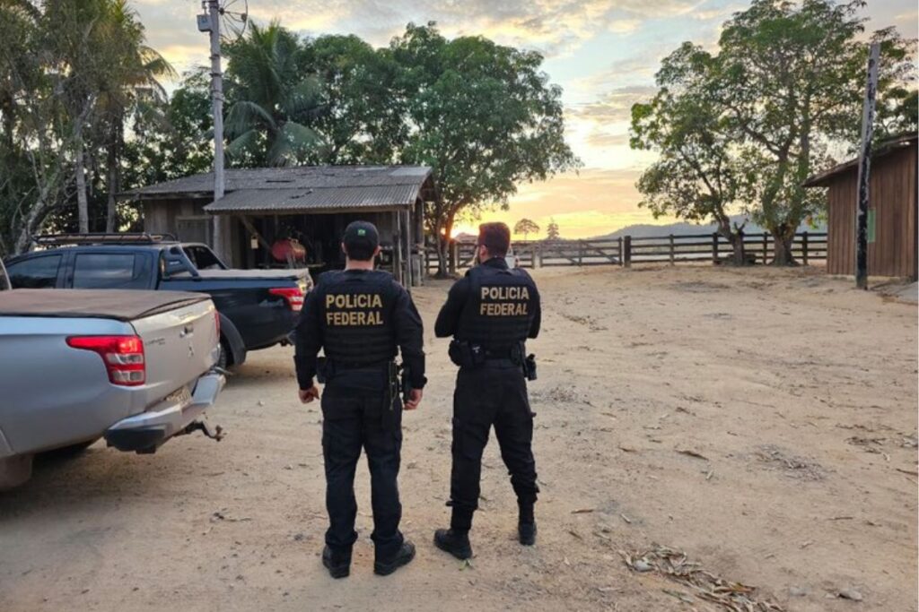 mpf-quer-leiloar-carros-de-grupo-ligado-ao-maior-devastador-da-amazonia